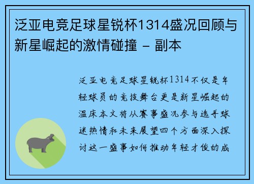 泛亚电竞足球星锐杯1314盛况回顾与新星崛起的激情碰撞 - 副本